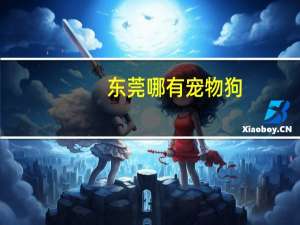 东莞哪有宠物狗