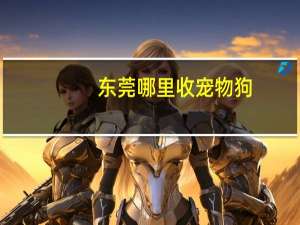 东莞哪里收宠物狗