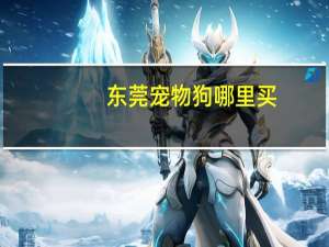东莞宠物狗哪里买