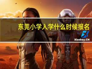 东莞小学入学什么时候报名