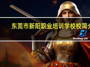 东莞市新阳职业培训学校校简介