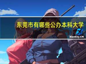 东莞市有哪些公办本科大学