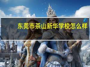 东莞市茶山新华学校怎么样