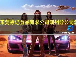 东莞徐记食品有限公司潮州分公司怎么样
