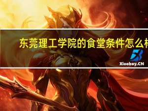 东莞理工学院的食堂条件怎么样
