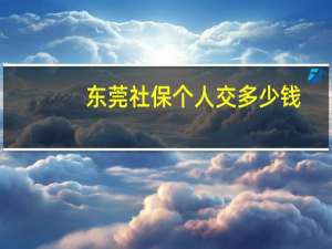 东莞社保个人交多少钱