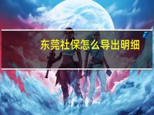 东莞社保怎么导出明细