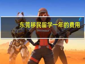 东莞移民留学一年的费用