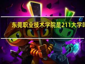 东莞职业技术学院是211大学吗
