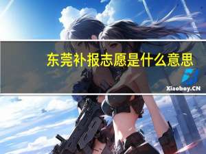 东莞补报志愿是什么意思