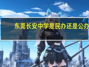 东莞长安中学是民办还是公办