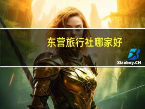 东营旅行社哪家好