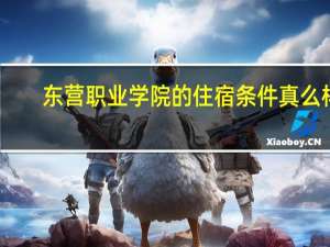 东营职业学院的住宿条件真么样