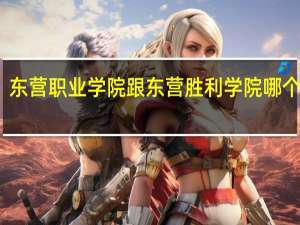 东营职业学院跟东营胜利学院哪个好啊