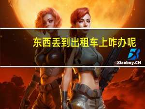 东西丢到出租车上咋办呢