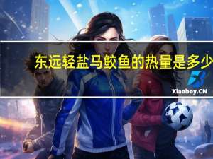东远 轻盐马鲛鱼的热量是多少