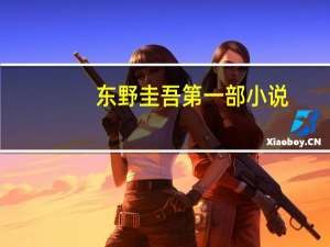 东野圭吾第一部小说