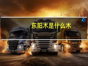 东阳木是什么木