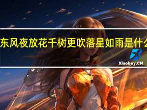 东风夜放花千树更吹落星如雨是什么季节（东风夜放花千树更吹落星如雨是什么节日）