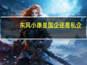东风小康是国企还是私企