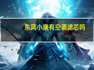 东风小康有空调滤芯吗