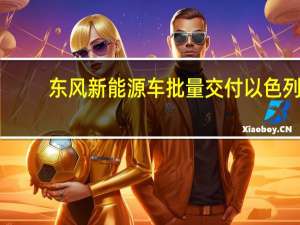 东风新能源车批量交付以色列