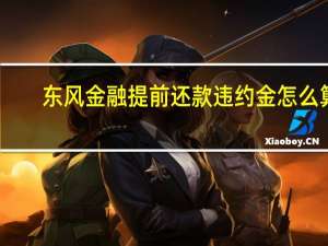 东风金融提前还款违约金怎么算