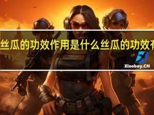 丝瓜的功效作用是什么 丝瓜的功效有哪些