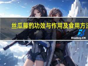 丝瓜藤的功效与作用及食用方法（丝瓜藤的功效与作用是什么）