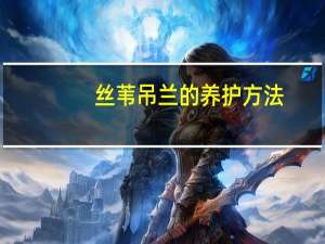 丝苇吊兰的养护方法