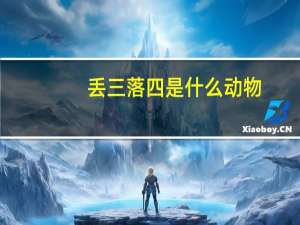 丢三落四是什么动物