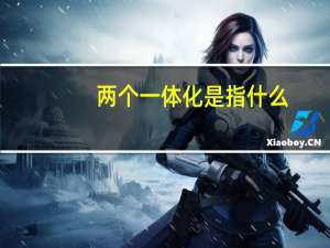 两个一体化是指什么