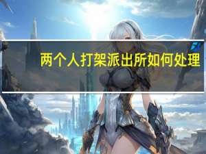 两个人打架派出所如何处理