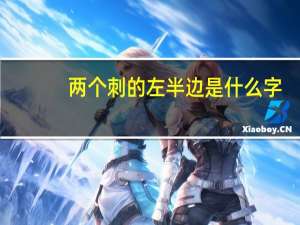 两个刺的左半边是什么字