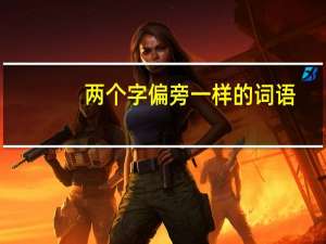 两个字偏旁一样的词语
