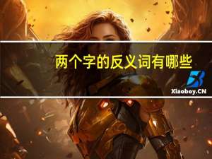 两个字的反义词有哪些