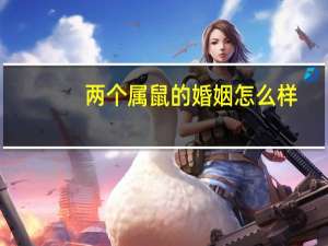 两个属鼠的婚姻怎么样