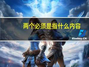 两个必须是指什么内容