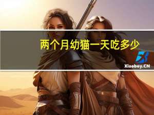 两个月幼猫一天吃多少