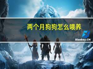两个月狗狗怎么喂养