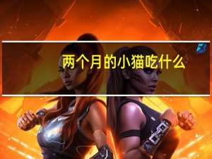 两个月的小猫吃什么