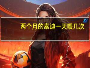 两个月的泰迪一天喂几次