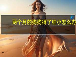 两个月的狗狗得了细小怎么办