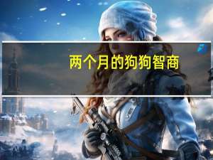 两个月的狗狗智商