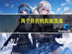 两个月的狗狗能洗澡