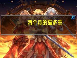 两个月的猫多重