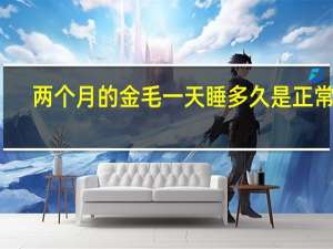 两个月的金毛一天睡多久是正常的
