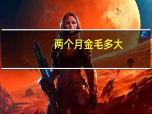 两个月金毛多大