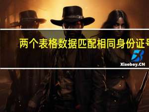 两个表格数据匹配相同身份证号（两个表格数据匹配合并）