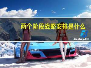 两个阶段战略安排是什么